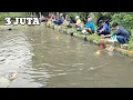 Download Lagu Gilaa Kolam Ini Di Luar Duga'an‼️Ternyata Ikannya Banyak Dan Babon Babon