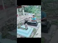 Download Lagu nak Iwan fals #videoshort #lagu #iwanfals#,surgauntukbapak