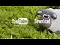 Dog Park - Silent Partner - YouTube Audio Library