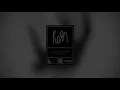 Korn - You'll Never Find Me (Letra Traduzida)