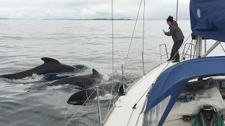 Lagoon 39 Breinwave in Norway – Traena to Stott