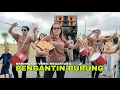 Download Lagu Lagu Sasak Terbaik 2023 || PENGANTIN BURUNG || Megantara Bikin Merinding