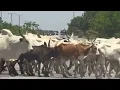 A Glimpse of Ghana