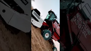                                                             دندنها
