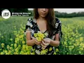 Medii - Giving Up Ground (Lyrics) feat. Notelle [Chelsea Cutler & Quinn XCII Cover]