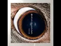 ただ君に晴れ - ヨルシカ