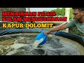 Lagu Menaikkan PH air Kolam Ikan Menggunakan Dolomit