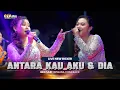 Download Lagu ANTARA KAU AKU \u0026 DIA - Neo Sari OM NIRWANA COMEBACK LIVE NEW BOXER PEKALONGAN