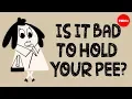 Download Lagu Is it bad to hold your pee? - Heba Shaheed