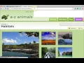 Create A Google Custom Search Engine