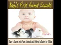 Soothing Rain Sounds With Classical Brainfood