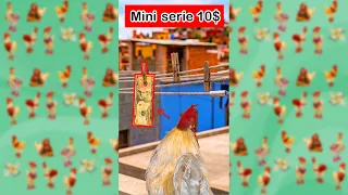 Mini Serie Lino Y el Billete Perdido /LinoElGalloConBotas