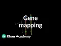 Gene mapping Biomolecules MCAT Khan Academy