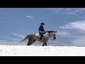 Sporty Tennessee in Invitational Gelding Session 23 Triangle Sale OKC