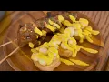 Can t-Miss Peruvian Cuisine and Cocktails New York Live TV