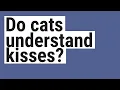 Do cats understand kisses