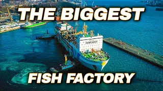 World s LARGEST Floating Fish Processing Vessel Episode 1