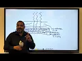 Digital Image Processing Radiography with Mr M
