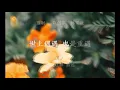 林家謙 Terence Lam 《拼命無恙》 In a Funk 動態歌詞