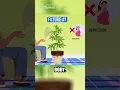 Future Number 1 - The Ultimate Cannabis Strain with Record-Breaking THC Levels