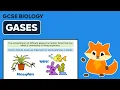 Abiotic Factors Soil Gases - GCSE Biology