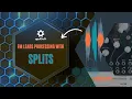 Download Lagu FM Leads Processing with Apulsoft SplitS