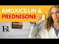 Amoxicillin and Prednisone How These Medications Work Together in Treatment