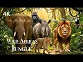 Lagu Afrika Liar 4K: Hewan Hutan Liar Afrika \u0026 Musik yang Menenangkan
