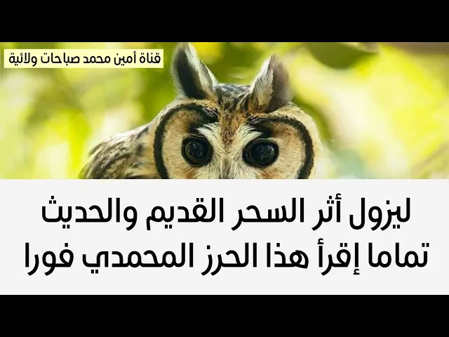 ⁣ليزول أثر السحر القديم والحديث تماما إقرأ هذا الحرز المحمدي فورا