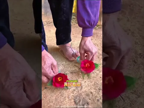 🥹❤️ ¡Unas Sandalias Preciosas para la Abuela! 👡✨