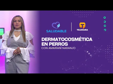 Dermatocosmética en perros