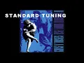You Could Be Mine STANDARD TUNING  Guns N Roses