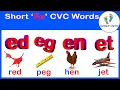 Learn to READ CVC Words Short E Sound Letter E Blending Learning Step By Step