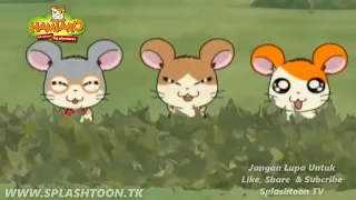 Download HAMTARO | Episode 5 | MOBIL PANDA MP3