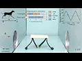 Machine learning-guided magnetic soft robot design