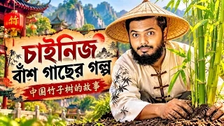 রাতারাতি সফল হওয়া কি সম্ভব? | The Chinese Bamboo Tree