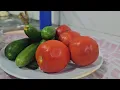 Download Lagu Preparing dinner for a party in an Iranian nomadic village: The hard life of women