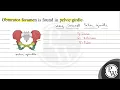 Obturator foramen is found in pelvic girdle