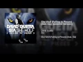She Wolf (Falling to Pieces) [feat. Sia] (Ambient Version)