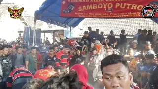 Download Samboyo Putro cover Loro Pikir Voc.Wulan JNP Tresno Kepenggak MoroTuo Voc. Riski terbaru 2022 SHF MP3