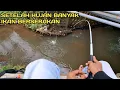 Download Lagu Mancing di Sungai Gowong Banyak ikan Lele Jebolan dari Kolam 