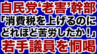 【自民党】消費減税を訴える若手議員を恫喝した老害幹部【田村秀男✕デイリーWiLL】