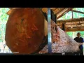 Lagu The beauty of expensive large mahogany wood in the sawmill 