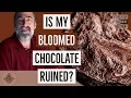 Is My Bloomed Chocolate Ruined