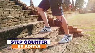 Step counter with Make Code Micro bit
