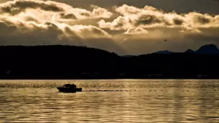 موسيقى عمار الشريعى 