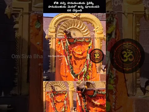 హనుమంతుడు మెడలో ఉన్న పూలదండని కోతి సరిచేస్తుంది #monkey #hanuman #god #hindudeity #temple #bhakti