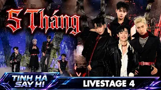 5 THÁNG - Wren Evans, WEAN, Ali Hoàng Dương, Jaysonlei cùng producer SOFTSERVEBOY | TINH HÀ SAY HI