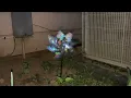 Dad s House Garden Pinwheels Clip Compilation PLEASE READ DESCRIPTION
