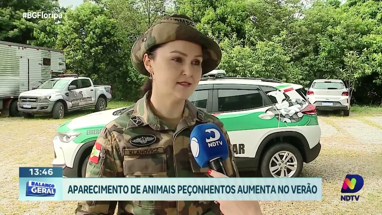 Saiba como agir ao encontrar um animal peçonhento